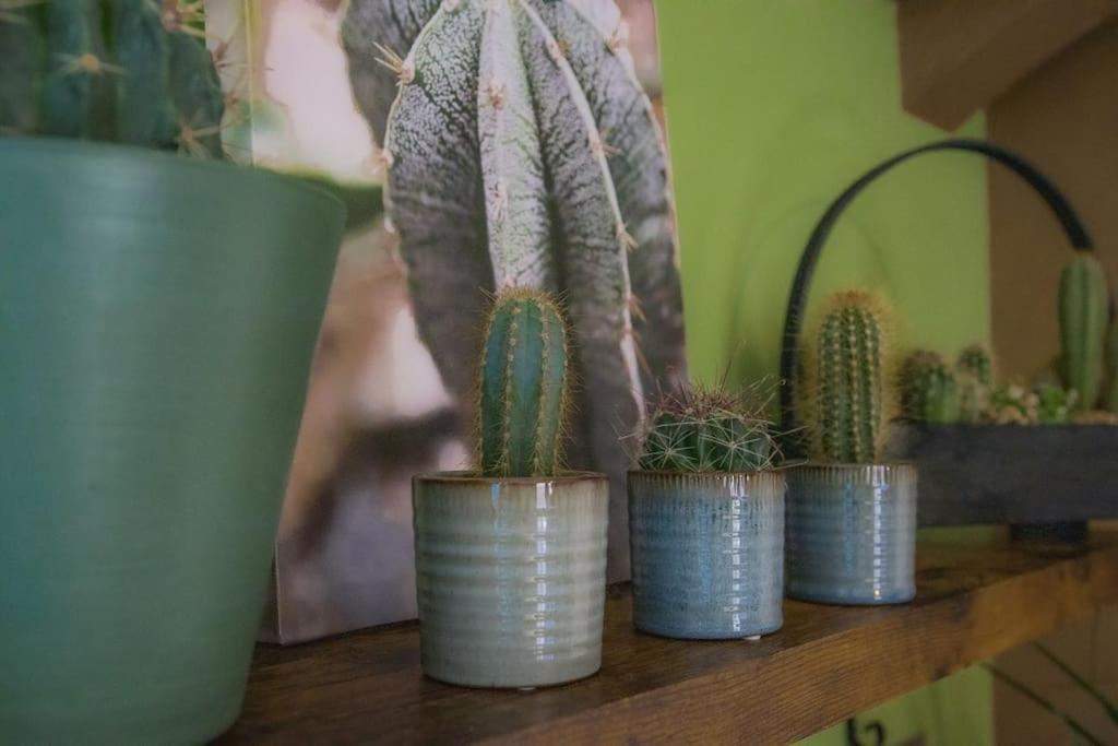 Coin De Nature En Centre-Ville Troyes Zewnętrze zdjęcie