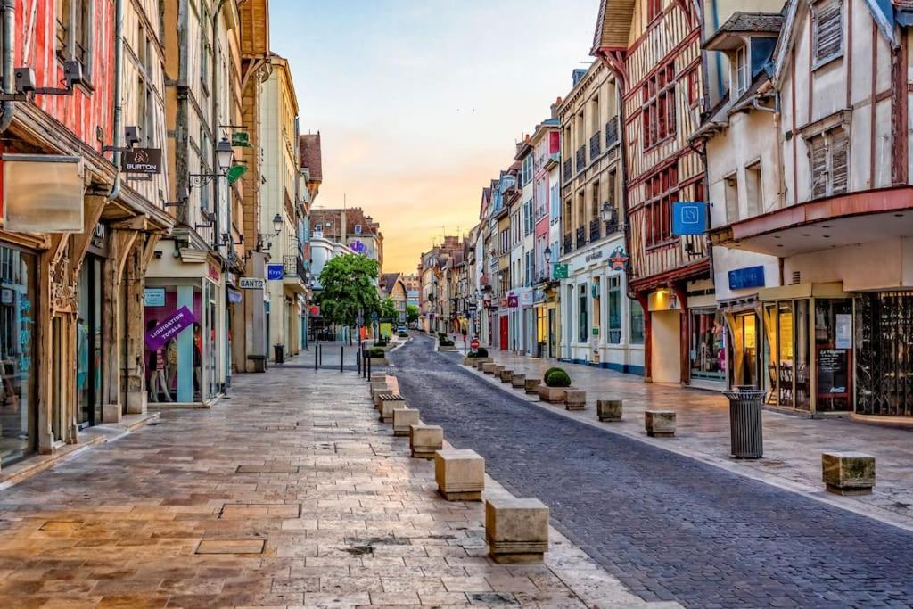 Coin De Nature En Centre-Ville Troyes Zewnętrze zdjęcie